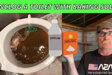 Effective Ways to Unclog a Toilet with Baking Soda