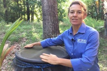 How to Clean and Maintain a Rain Barrel