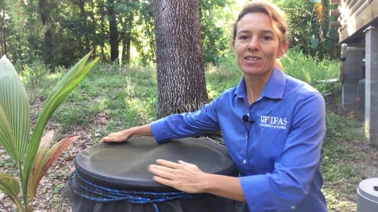 How to Clean and Maintain a Rain Barrel