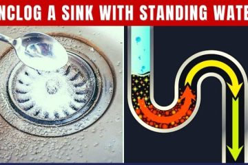 Restore Water Flow in a Clogged Kitchen Drain