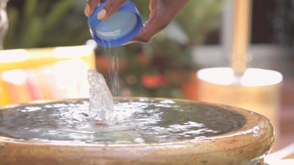 How to Prevent Algae in Water Fountains