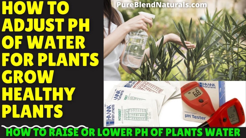 Simple Ways to Adjust Water pH